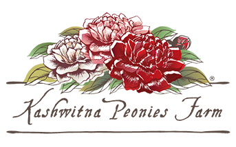 Kashwitna Peonies Farm - Fresh Alaska Grown Peonies